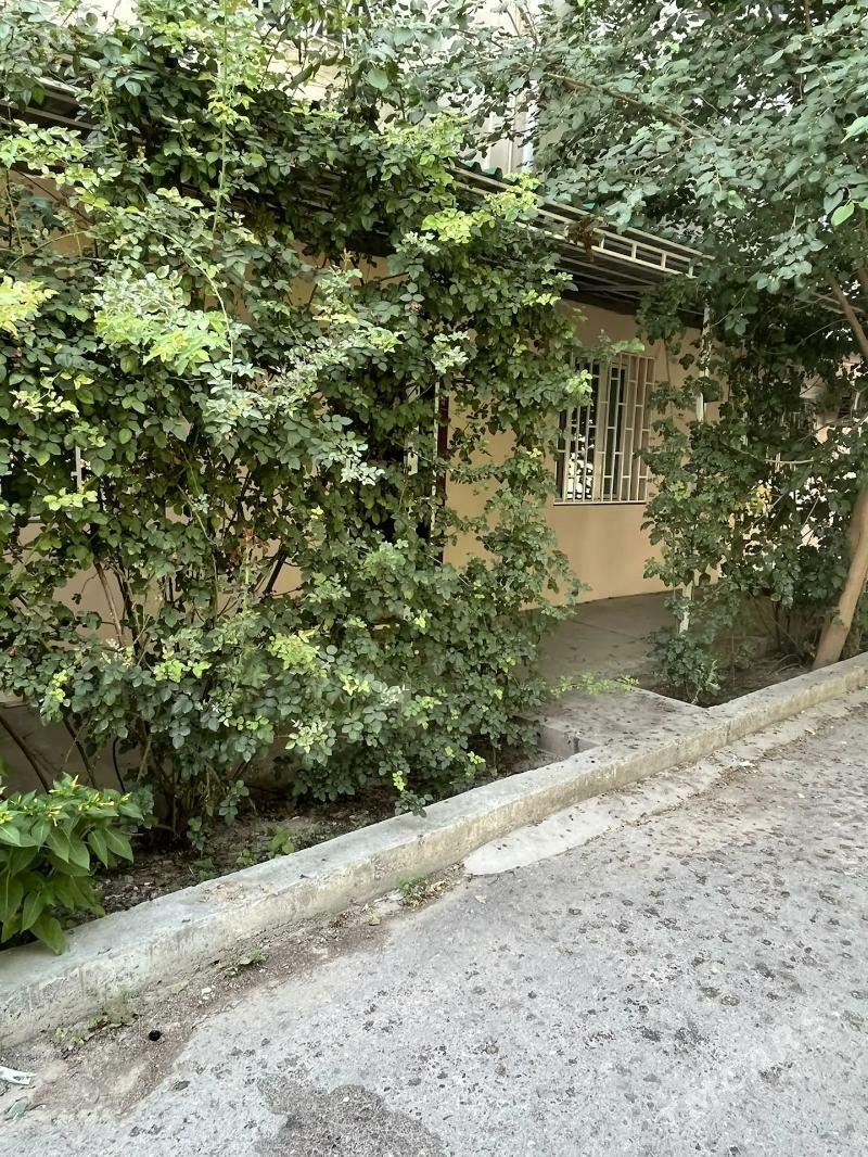 Şewçenko, 3-Komnat. Kwartira - 1 мкр - img 1