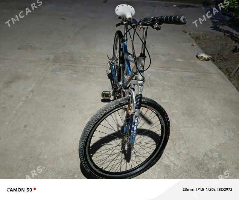 welisoped Poxer X - Гороглы (Тагта) - img 1