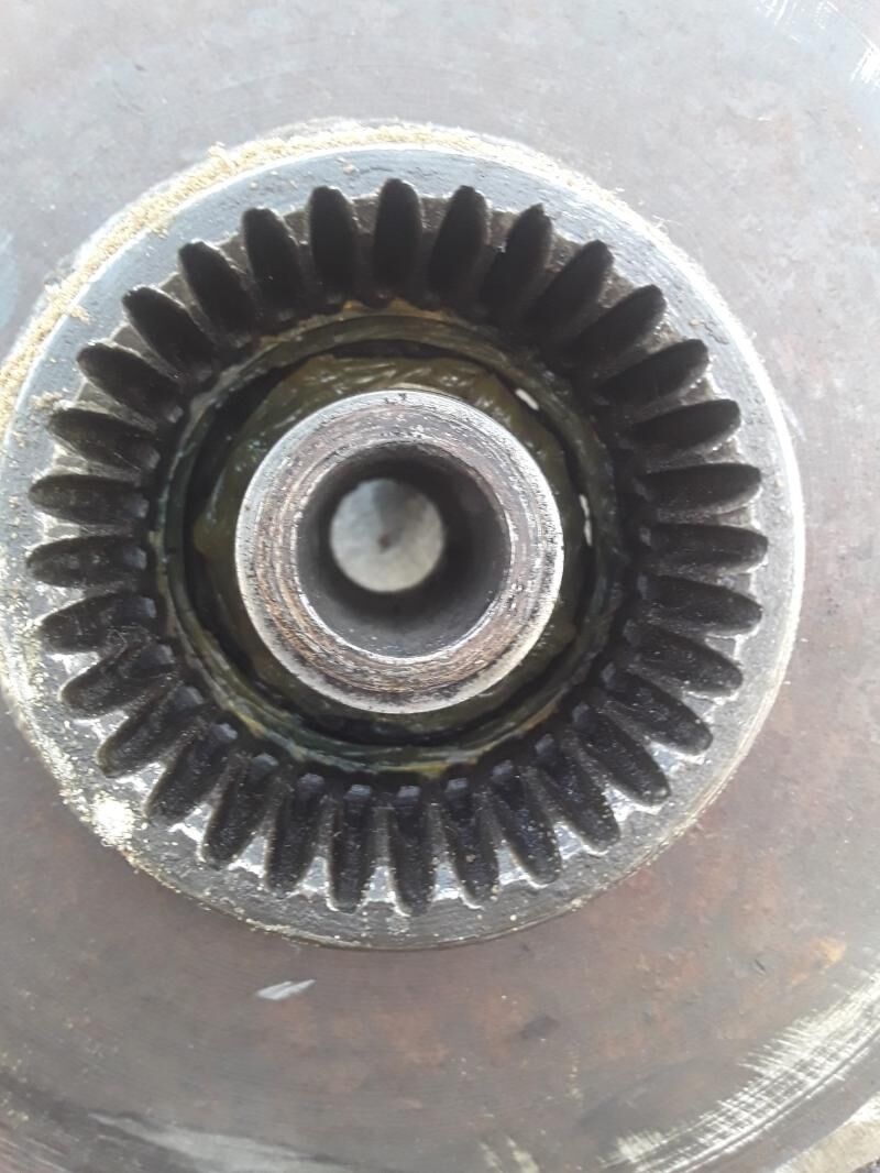 19 lyk disga 1 600 TMT - Ak bugdaý etraby - img 1