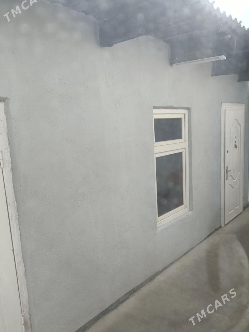 Kywartyra kósi - Кëши - img 1