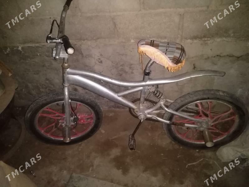 Welsepet - Гумдаг - img 1