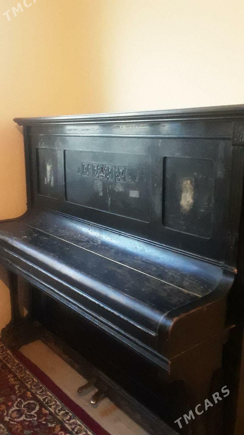 Pianina - Тязе заман - img 1