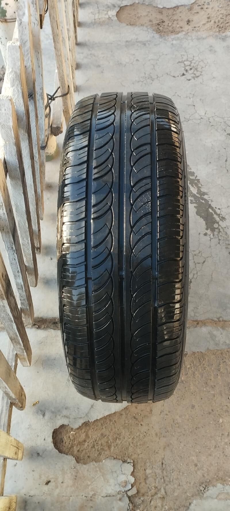 teker 650 TMT - Sakarçäge - img 1