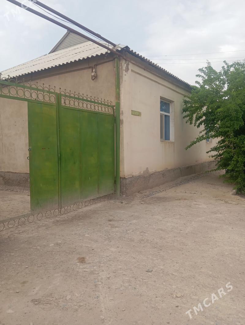 jay - Теджен - img 1