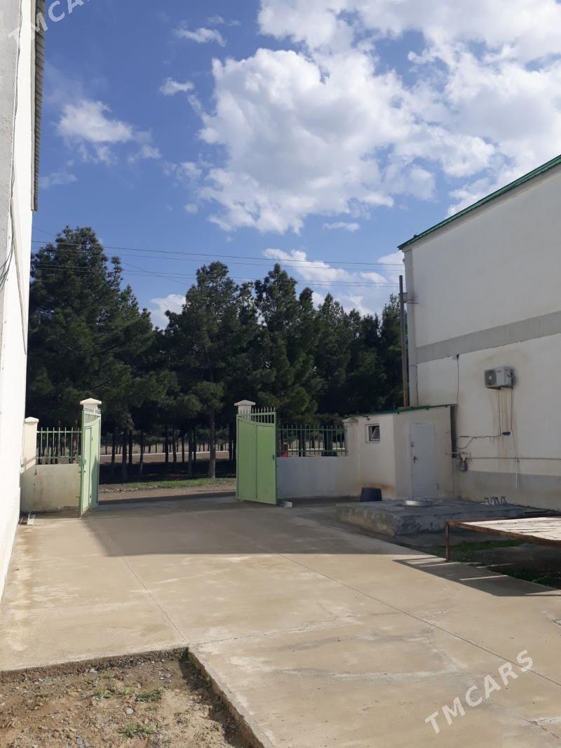 Gökdepe kottež jaý satlyk - Гёкдепе - img 1