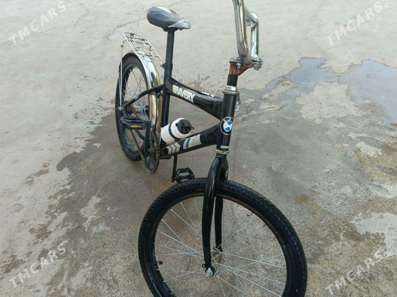 tigir,welsipet - Ak bugdaý etraby - img 1