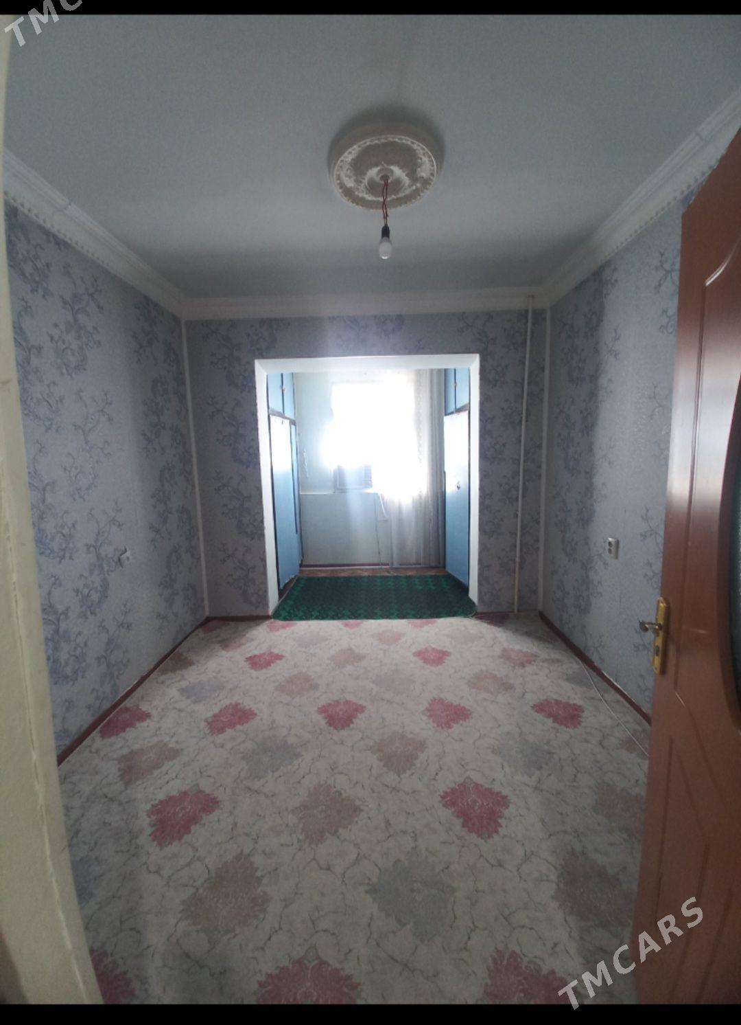 Satlyk jay - Mary - img 1