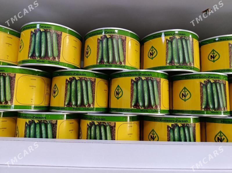 хыяр тохумы суперина - Мары - img 1