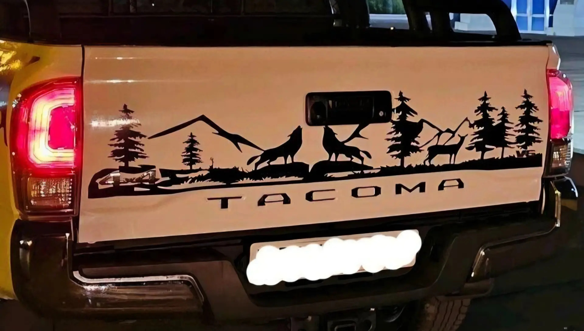 Tacoma nakileyka 100 TMT - Мары - img 1