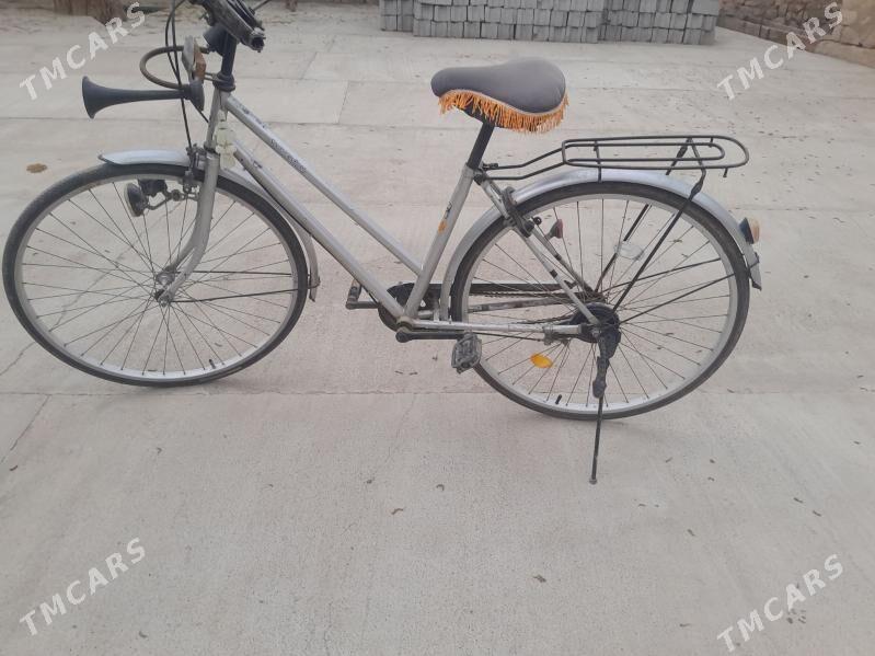 cekirtke - Jebel - img 1