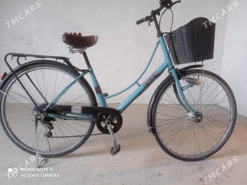 тигир - Багир - img 1