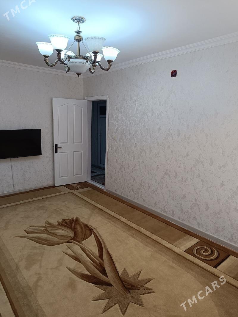 haly - Hitrowka - img 1