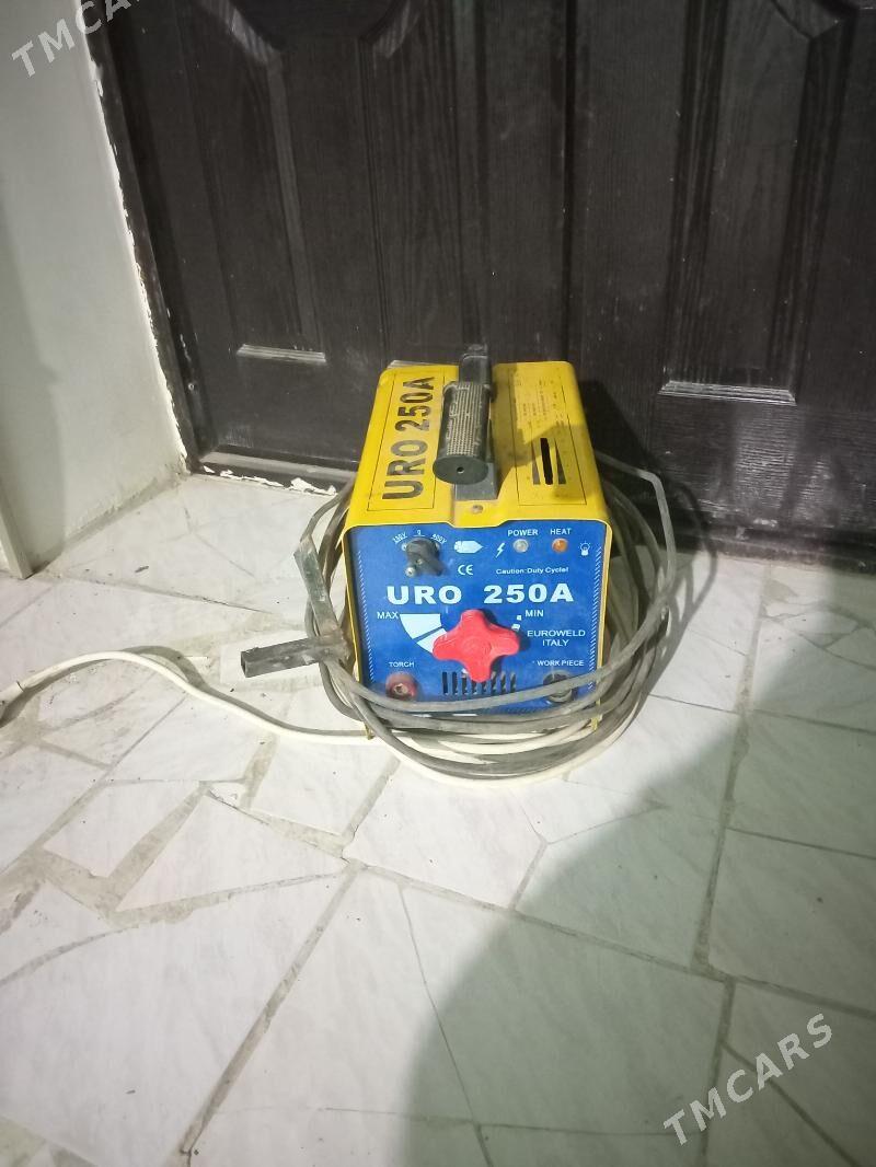 suwarka - Ýaşlyk - img 1