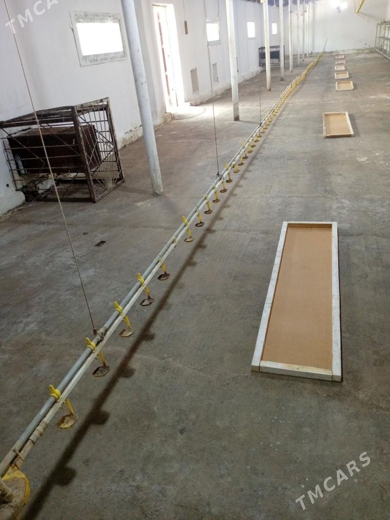 жужелере сув берйен - Туркменабат - img 1