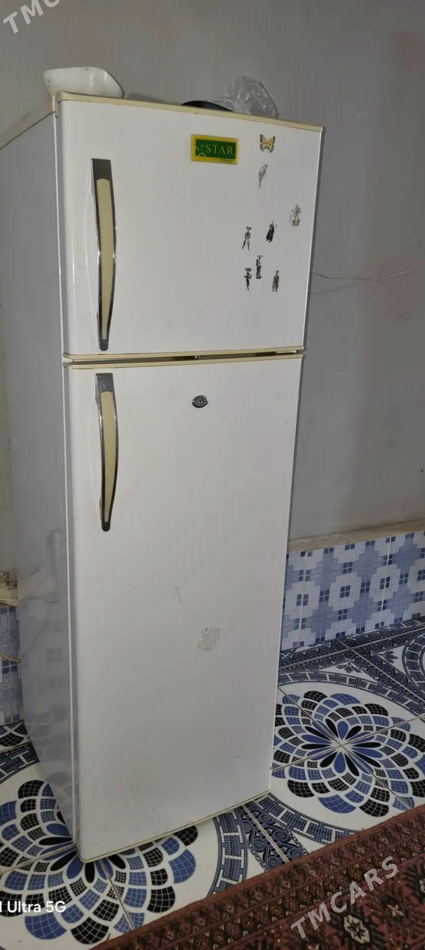 holadelnik - Köneürgenç - img 1