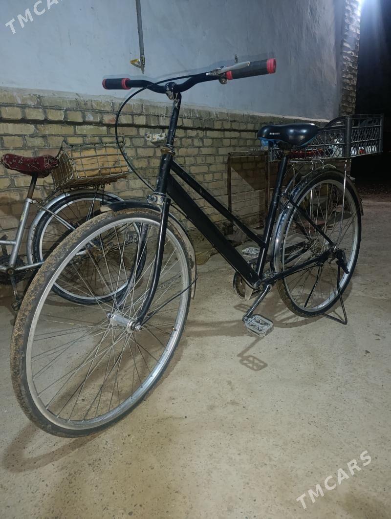 Welik 27 lik - Mary - img 1