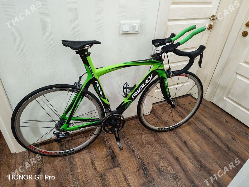 CARBON TIGIR RIDLEY - Aşgabat - img 1