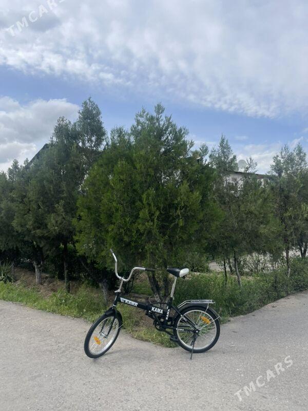 Kama tigir - Büzmeýin GRES - img 1