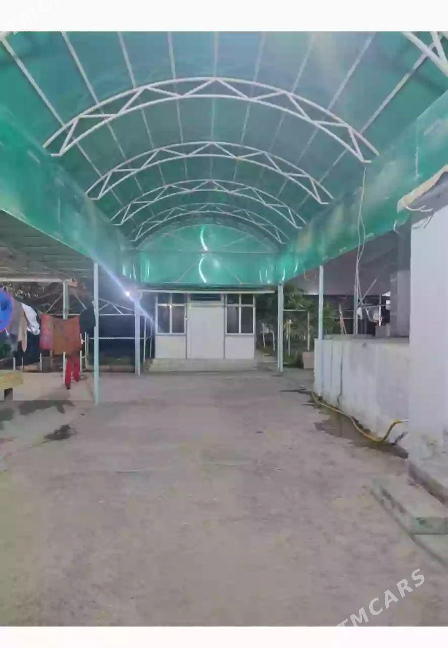 Kone gurtly - Gurtly - img 1