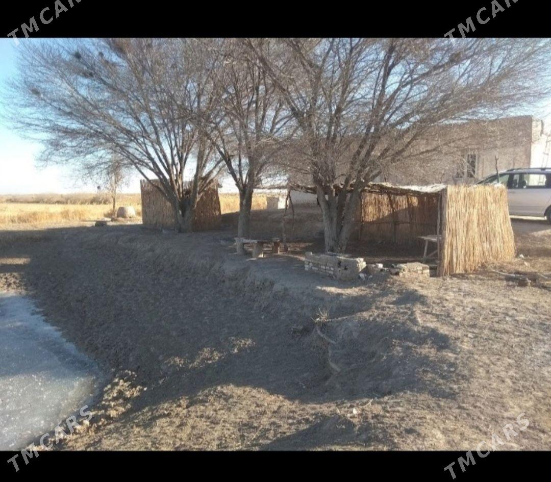 Аренда или продажа. - Гурбансолтан Едже - img 1