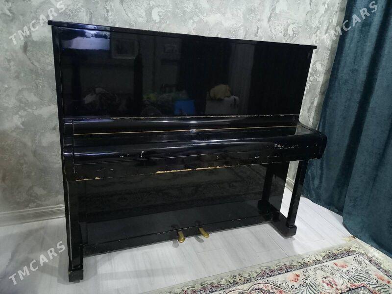 pionino - Ашхабад - img 1