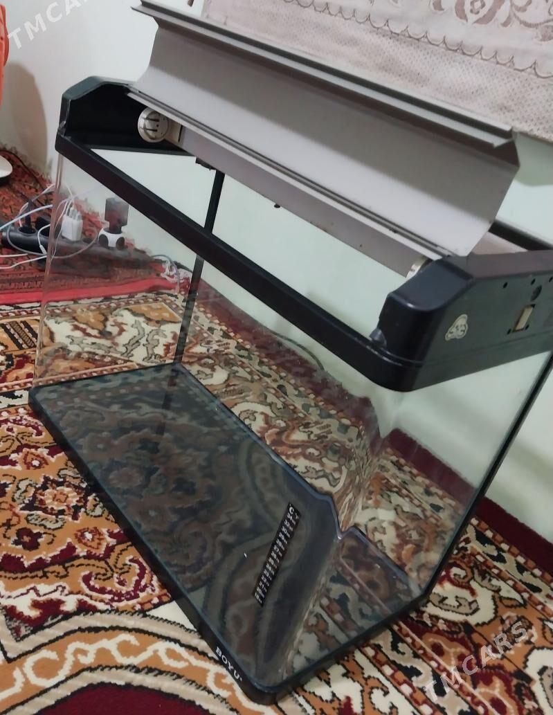 akwarium zowadskoy - Dänew - img 1