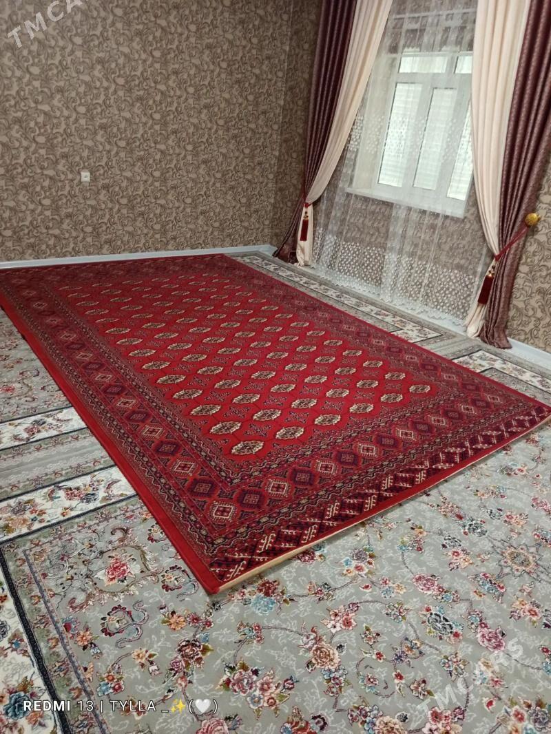 Haly - Гумдаг - img 1