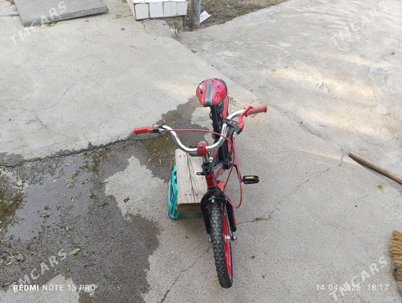 çaga tigir - Ким район - img 1