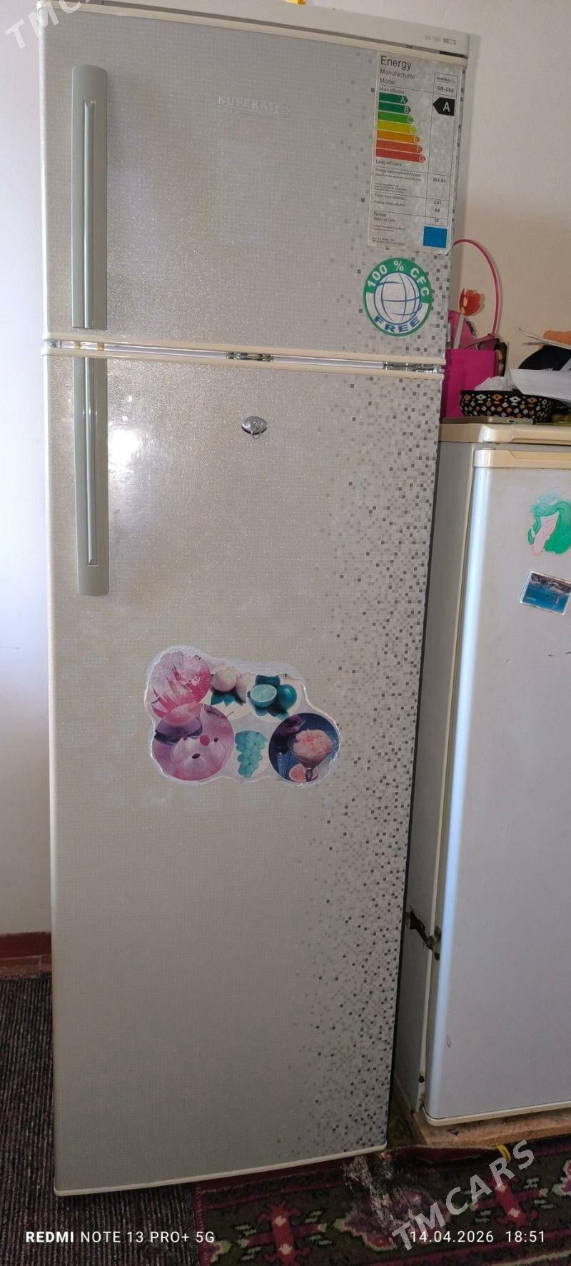 Holadilnik - Sakarçäge - img 1