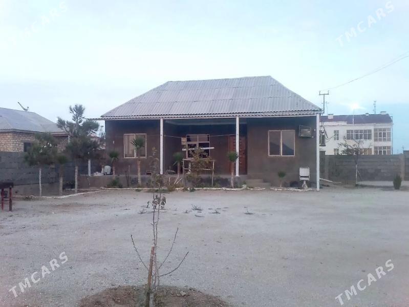 Satlyk jay - Esenguly - img 1