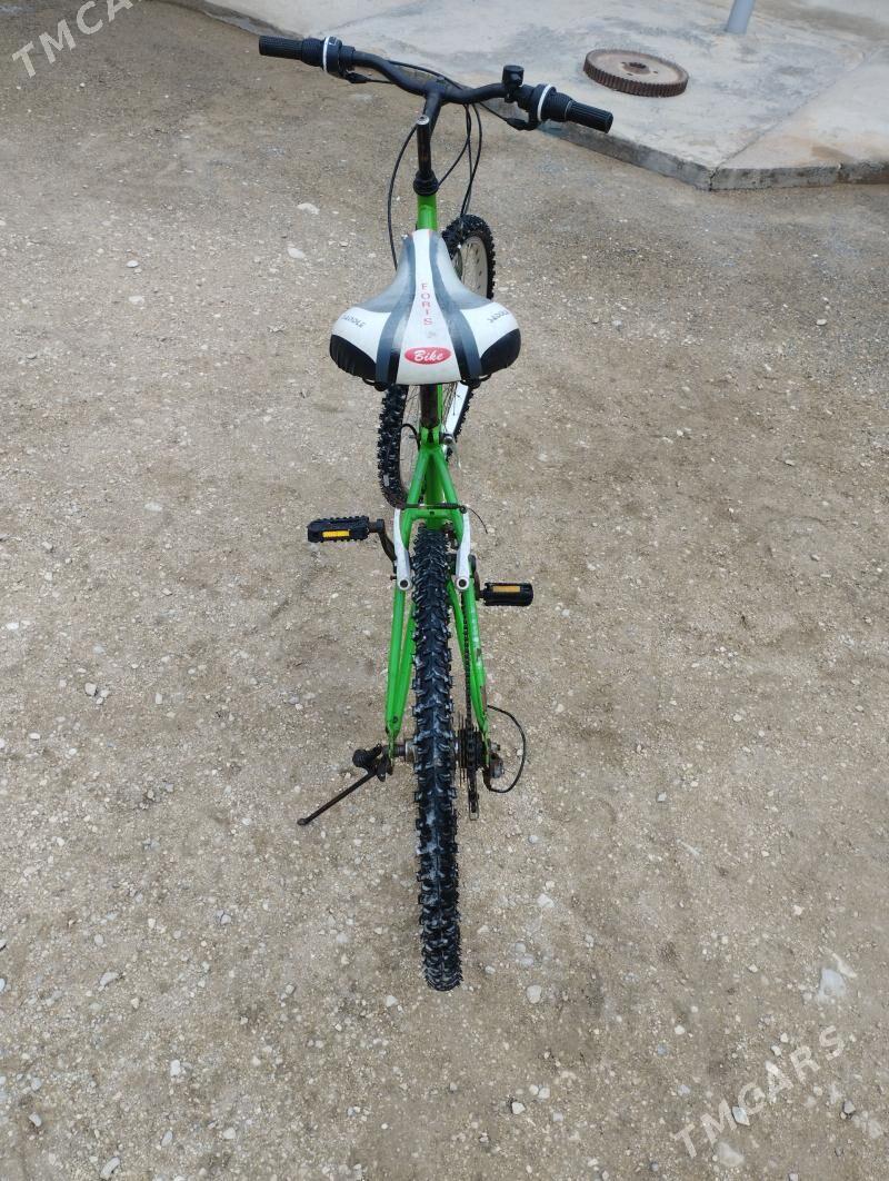 ŵelik tigir - Balkanabat - img 1