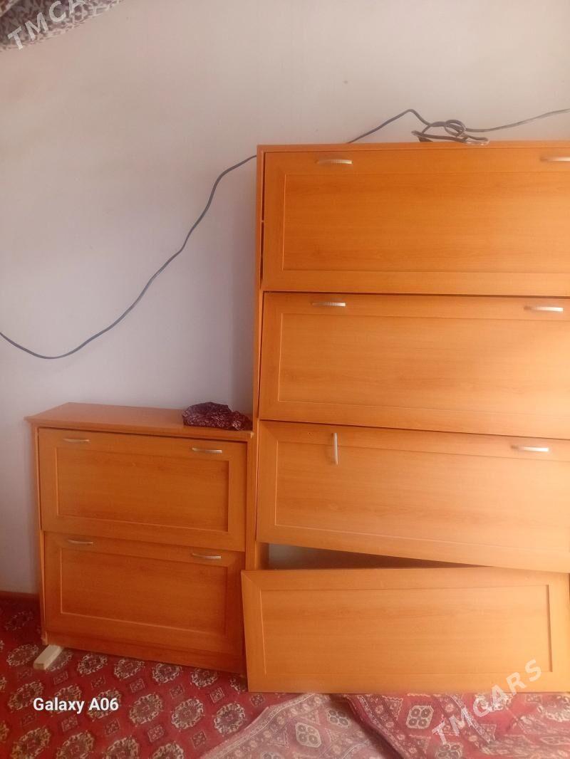 oy goslary - Daşoguz - img 1