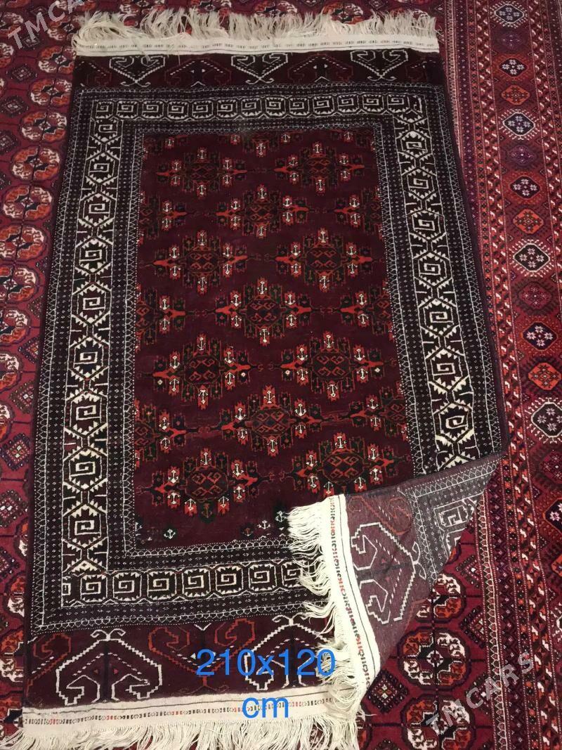 Gadymy Türkmen Haly - Ашхабад - img 1