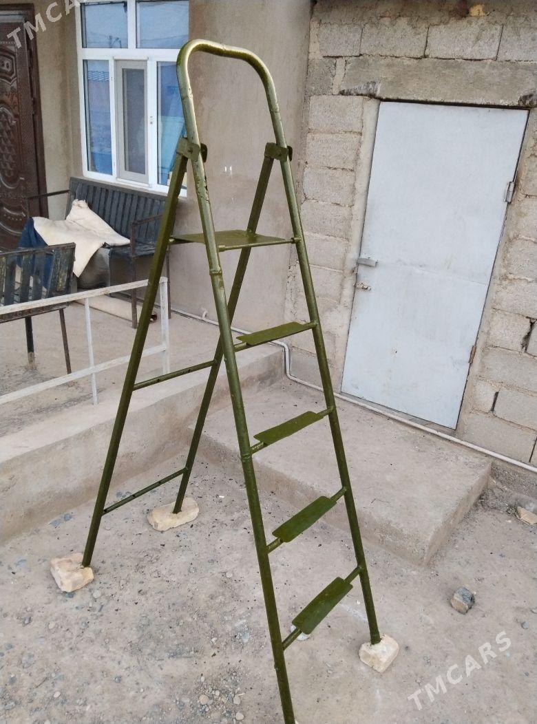 lesinsa - Tejen - img 1