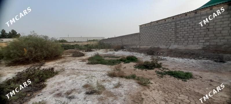 boş ýer - Tejen - img 1