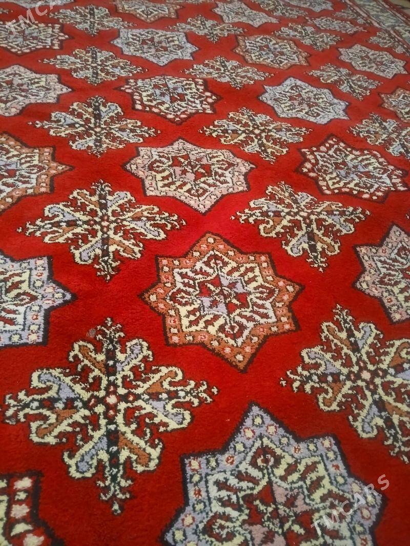 Haly - Aşgabat - img 1