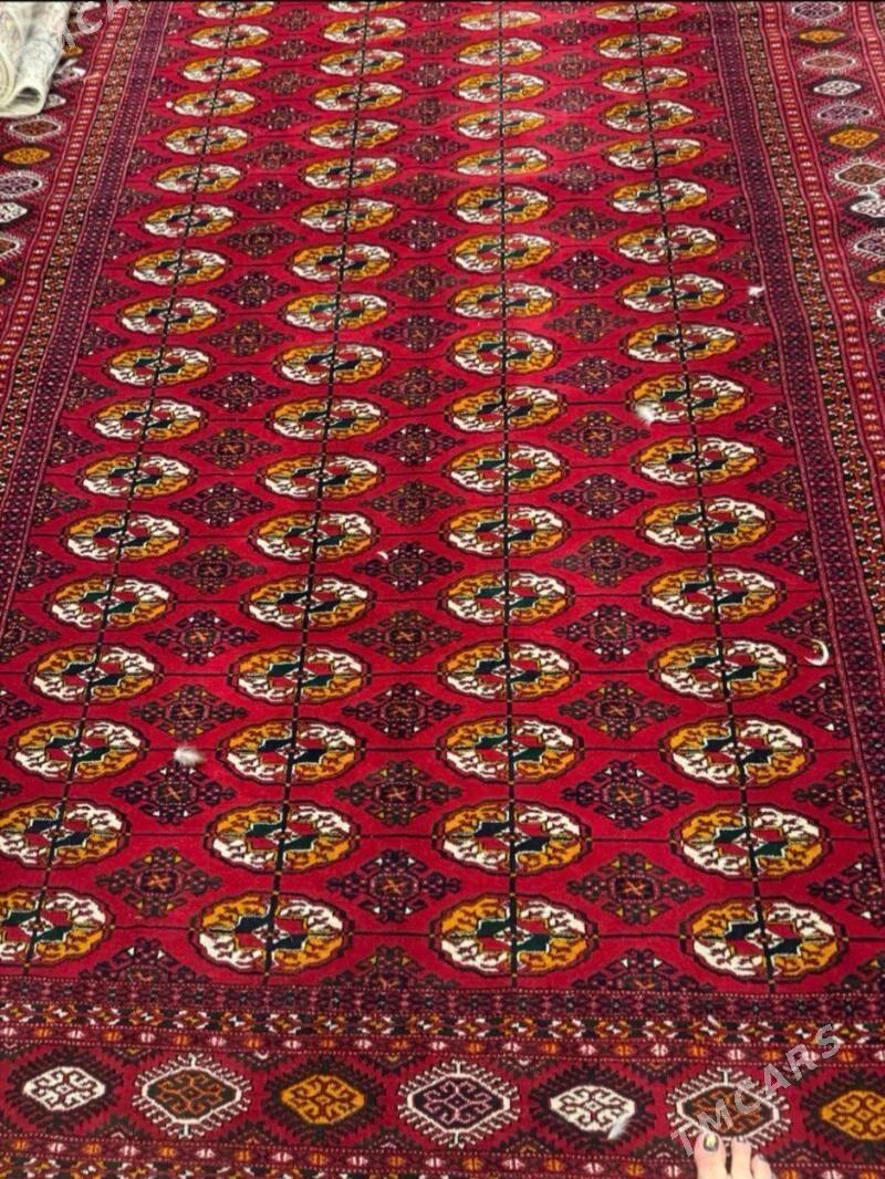 Turkmen haly - Aşgabat - img 1