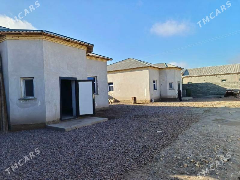 satlyk jaŷ - Daşoguz - img 1