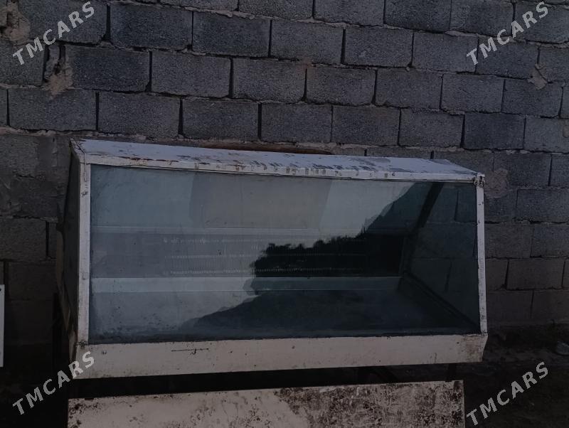 Halodilnik - Büzmeýin - img 1