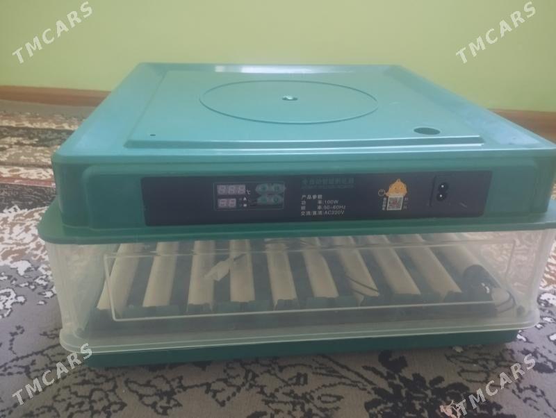 inkubator - Balkanabat - img 1