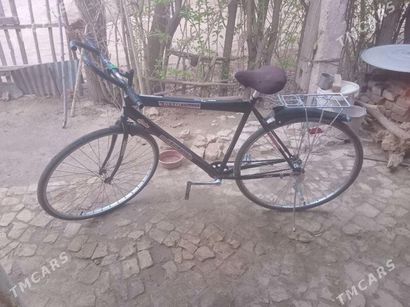 welisepet - Ёлётен - img 1