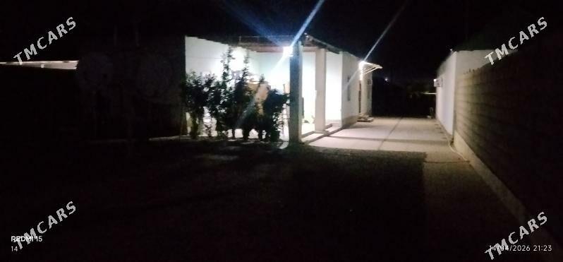 satlyk Gäwers jaÿ - Ak bugdaý etraby - img 1