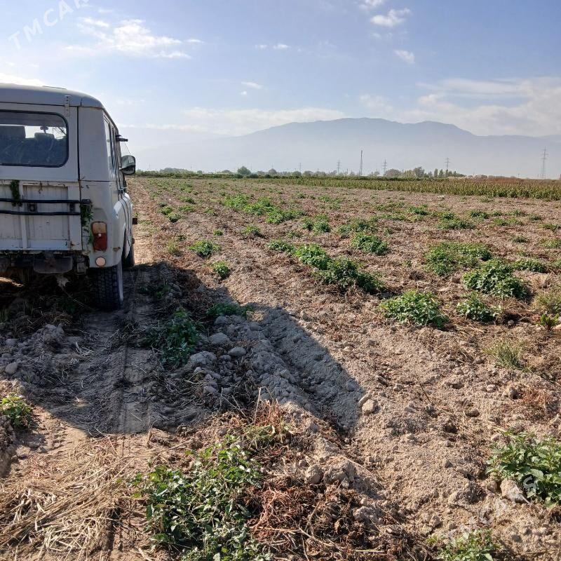 UAZ 469 2000 - 16 000 TMT - Ашхабад - img 1