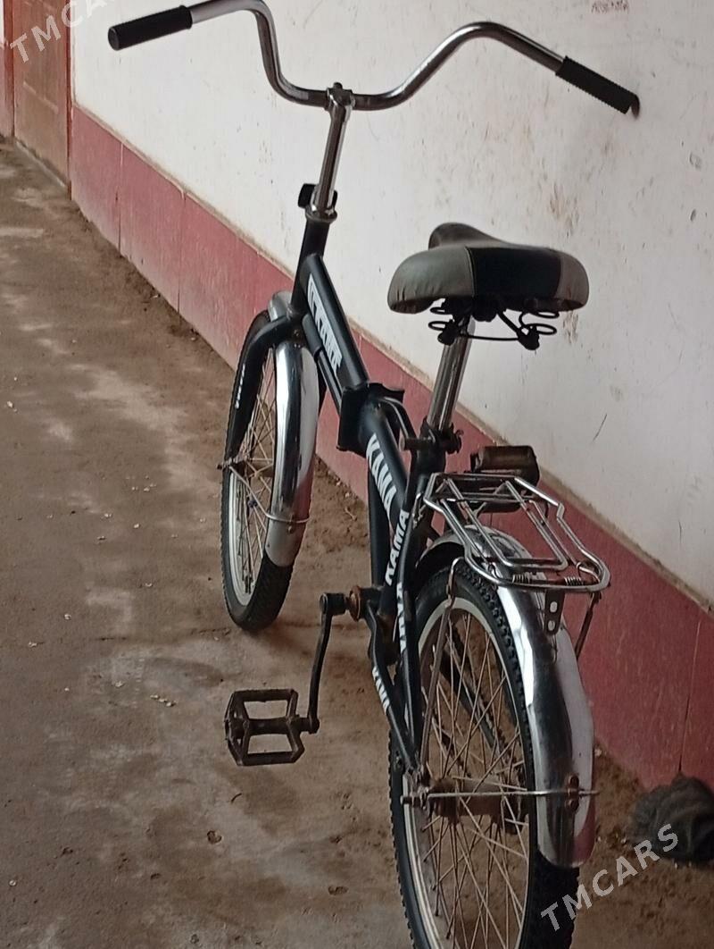 tigir - Gurbansoltan Eje - img 1