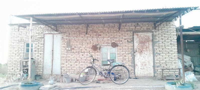 Tejen satlyk jaylar - Tejen - img 1