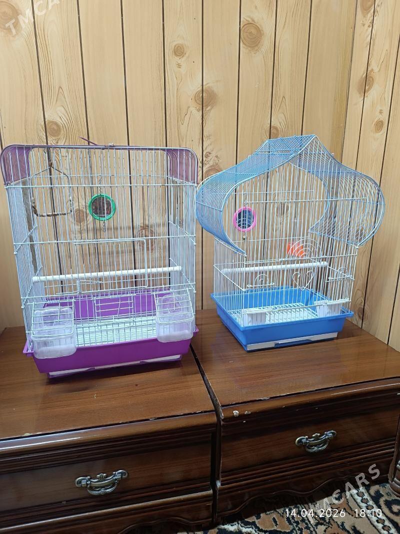 клетки - Мары - img 1