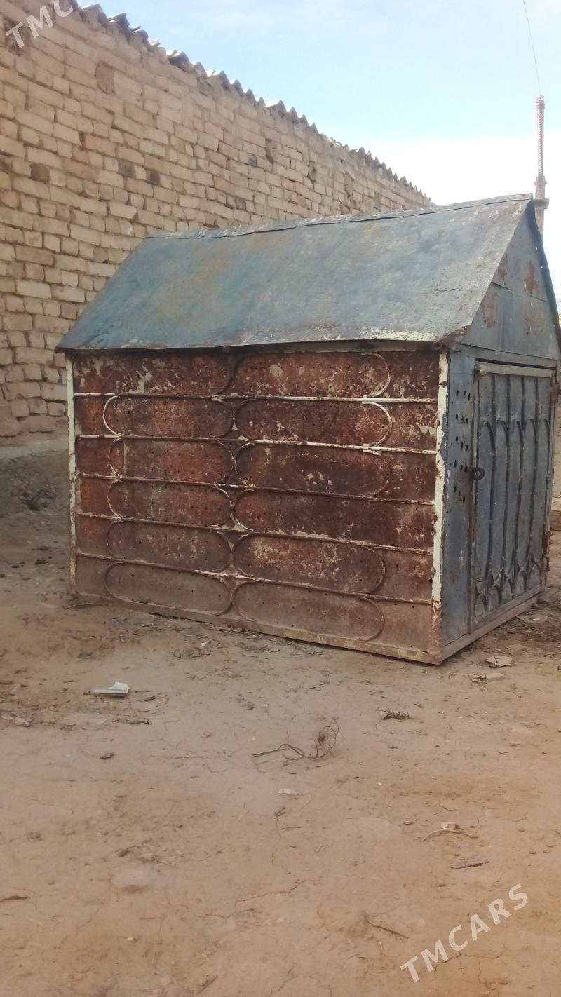 gus ketek - Гызыларбат - img 1