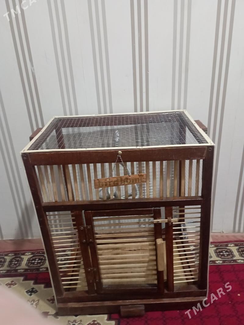 Kuş kletka - Туркменабат - img 1