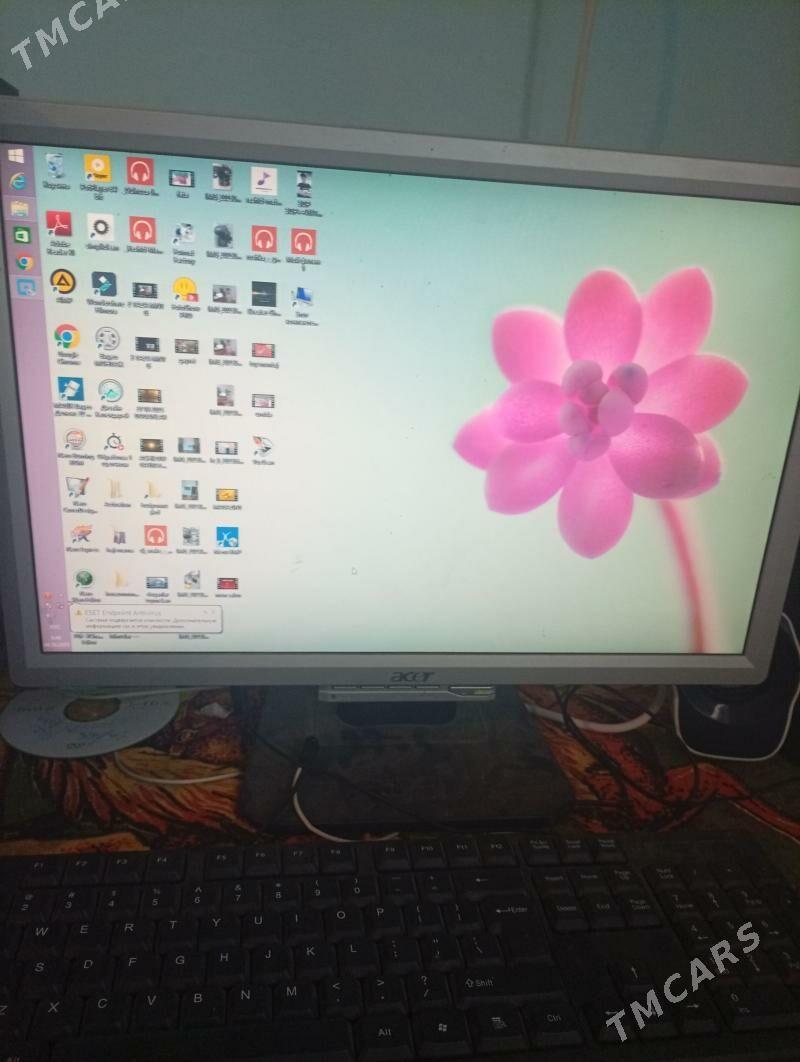 damashny kampitor - Köýtendag - img 1