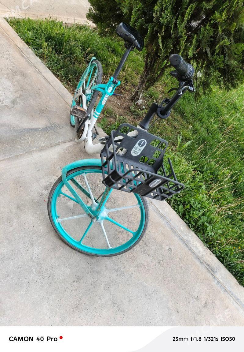 Yaponski tigir - Ашхабад - img 1